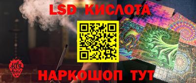 индика Заводоуковск