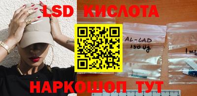 индика Заводоуковск