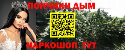 индика Заводоуковск