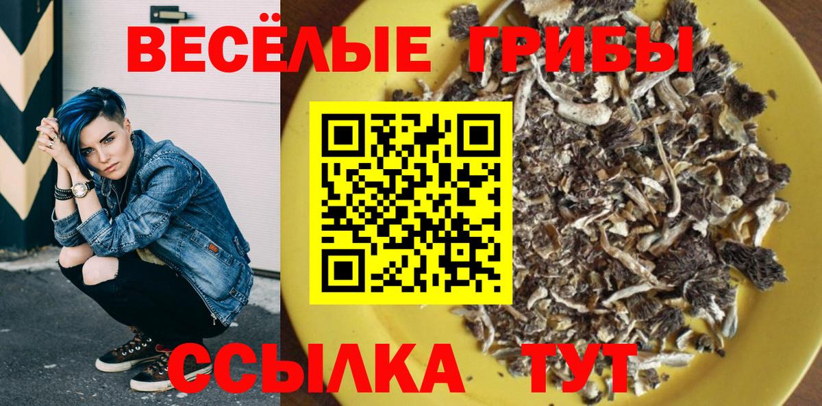 Галлюциногенные грибы прущие грибы  Вход с VPN  Галлюциногенные грибы Magic Shrooms  Мичуринск 