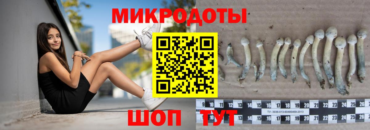 Псилоцибиновые грибы ЛСД Мичуринск