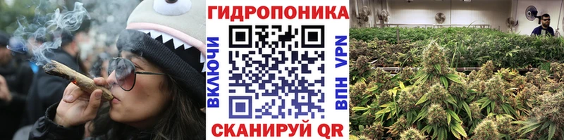 Канабис OG Kush  Мичуринск 